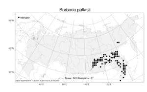 Sorbaria pallasii (G. Don) Pojark., Atlas of the Russian Flora (FLORUS) (Russia)