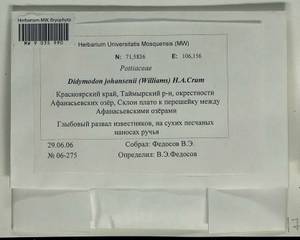 Husnotiella johansenii (R.S. Williams) J.A. Jiménez & M.J. Cano, Bryophytes, Bryophytes - Krasnoyarsk Krai, Tyva & Khakassia (B17) (Russia)