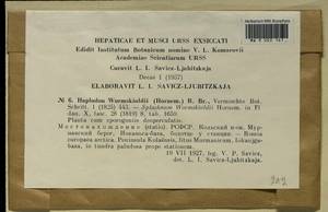 Aplodon wormskioldii (Hornem.) R. Br., Bryophytes, Bryophytes - Karelia, Leningrad & Murmansk Oblasts (B4) (Russia)