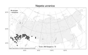 Nepeta ucranica L., Atlas of the Russian Flora (FLORUS) (Russia)