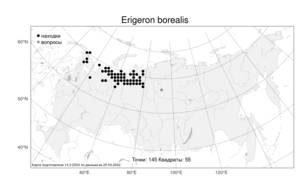 Erigeron borealis (F. Vierh.) Simmons, Atlas of the Russian Flora (FLORUS) (Russia)