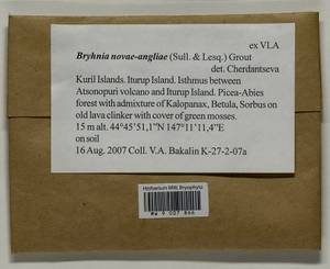 Brachythecium novae-angliae (Sull. & Lesq.) A. Jaeger, Bryophytes, Bryophytes - Russian Far East (excl. Chukotka & Kamchatka) (B20) (Russia)