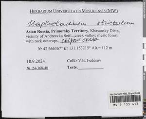 Haplocladium strictulum (Cardot) Reimers, Bryophytes, Bryophytes - Russian Far East (excl. Chukotka & Kamchatka) (B20) (Russia)