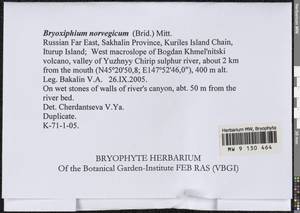 Bryoxiphium norvegicum (Brid.) Mitt., Bryophytes, Bryophytes - Russian Far East (excl. Chukotka & Kamchatka) (B20) (Russia)