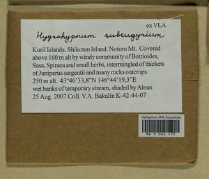 Pseudohygrohypnum subeugyrium (Renauld & Cardot) Ignatov & Ignatova, Bryophytes, Bryophytes - Russian Far East (excl. Chukotka & Kamchatka) (B20) (Russia)