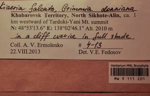 MW 9 111 201, Kiaeria falcata (Hedw.) I. Hagen, Bryophytes, Bryophytes - Russian Far East (excl. Chukotka & Kamchatka) (B20) (Russia)