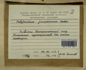 Polytrichum juniperinum Hedw., Bryophytes, Bryophytes - Karelia, Leningrad & Murmansk Oblasts (B4) (Russia)