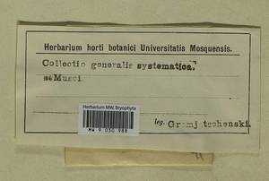 Aongstroemia schreberiana (Hedw.) Bonfim Santos & Fedosov, Bryophytes, Bryophytes (no precise locality) (B0)