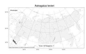 Astragalus levieri Freyn ex Sommier & Levier, Atlas of the Russian Flora (FLORUS) (Russia)