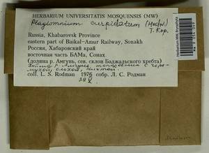 Plagiomnium cuspidatum (Hedw.) T.J. Kop., Bryophytes, Bryophytes - Russian Far East (excl. Chukotka & Kamchatka) (B20) (Russia)