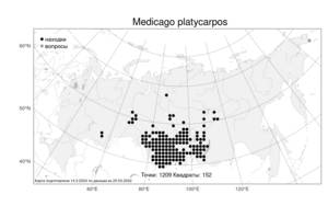 Medicago platycarpos (L.) Trautv., Atlas of the Russian Flora (FLORUS) (Russia)