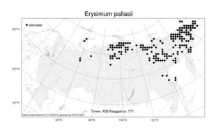 Erysimum pallasii (Pursh) Fernald, Atlas of the Russian Flora (FLORUS) (Russia)