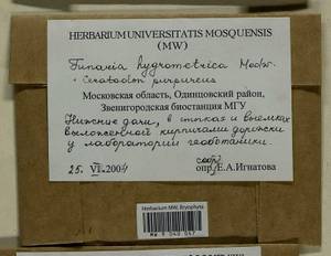 Ceratodon purpureus (Hedw.) Brid., Bryophytes, Bryophytes - Moscow City & Moscow Oblast (B6a) (Russia)