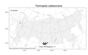 Farinopsis salesoviana (Stephan) Chrtek & Soják, Atlas of the Russian Flora (FLORUS) (Russia)