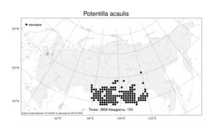 Potentilla acaulis L., Atlas of the Russian Flora (FLORUS) (Russia)