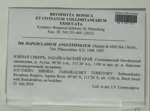 Haplocladium angustifolium (Hampe & Müll. Hal.) Broth., Bryophytes, Bryophytes - Baikal & Transbaikal regions (B18) (Russia)