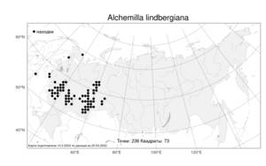 Alchemilla lindbergiana Juz., Atlas of the Russian Flora (FLORUS) (Russia)