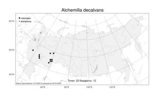 Alchemilla decalvans Juz., Atlas of the Russian Flora (FLORUS) (Russia)