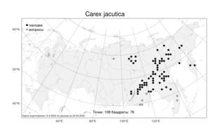 Carex jacutica V.I.Krecz., Atlas of the Russian Flora (FLORUS) (Russia)