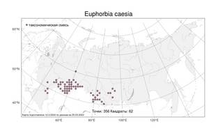 Euphorbia caesia Kar. & Kir., Atlas of the Russian Flora (FLORUS) (Russia)