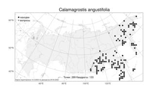 Calamagrostis angustifolia Kom., Atlas of the Russian Flora (FLORUS) (Russia)