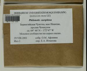 Philonotis caespitosa Jur., Bryophytes, Bryophytes - Chukotka & Kamchatka (B21) (Russia)