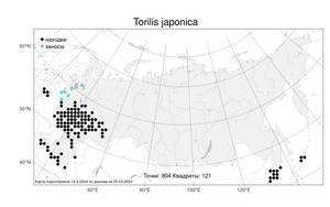 Torilis japonica (Houtt.) DC., Atlas of the Russian Flora (FLORUS) (Russia)