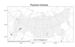 Pueraria montana (Lour.) Merr., Atlas of the Russian Flora (FLORUS) (Russia)