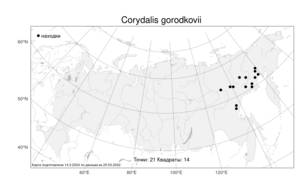 Corydalis gorodkovii Karav., Atlas of the Russian Flora (FLORUS) (Russia)