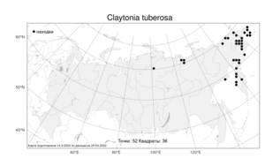 Claytonia tuberosa Pall. ex Willd., Atlas of the Russian Flora (FLORUS) (Russia)