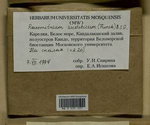 Bucklandiella sudetica (Funck) Bedn.-Ochyra & Ochyra, Bryophytes, Bryophytes - Karelia, Leningrad & Murmansk Oblasts (B4) (Russia)