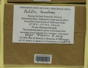 Pohlia tundrae A.J. Shaw, Bryophytes, Bryophytes - Russian Far East (excl. Chukotka & Kamchatka) (B20) (Russia)