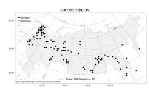 Juncus stygius L., Atlas of the Russian Flora (FLORUS) (Russia)
