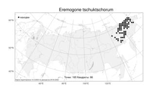 Eremogone tschuktschorum (Regel) Ikonn., Atlas of the Russian Flora (FLORUS) (Russia)