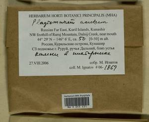 Plagiomnium acutum (Lindb.) T.J. Kop., Bryophytes, Bryophytes - Russian Far East (excl. Chukotka & Kamchatka) (B20) (Russia)