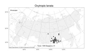 Oxytropis lanata (Pall.) DC., Atlas of the Russian Flora (FLORUS) (Russia)