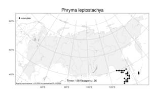Phryma leptostachya L., Atlas of the Russian Flora (FLORUS) (Russia)