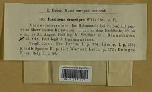 Fissidens crassipes Wilson ex Bruch & Schimp., Bryophytes, Bryophytes - Western Europe (BEu) (Austria)