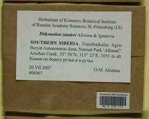 Husnotiella rufidula (Müll. Hal.) J.A. Jiménez & M.J. Cano, Bryophytes, Bryophytes - Baikal & Transbaikal regions (B18) (Russia)