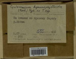 Cyrtomnium hymenophylloides (Huebener) T.J. Kop., Bryophytes, Bryophytes - Permsky Krai, Udmurt Republic, Sverdlovsk & Kirov Oblasts (B8) (Russia)