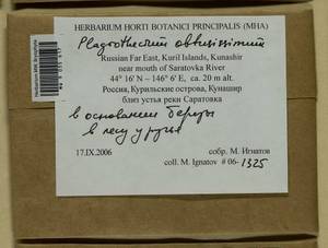 Plagiothecium obtusissimum Broth., Bryophytes, Bryophytes - Russian Far East (excl. Chukotka & Kamchatka) (B20) (Russia)