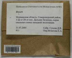 Bryum, Bryophytes, Bryophytes - Karelia, Leningrad & Murmansk Oblasts (B4) (Russia)