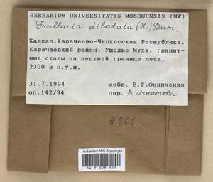 Frullania dilatata (L.) Dumort., Bryophytes, Bryophytes - North Caucasus & Ciscaucasia (B12) (Russia)