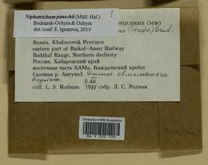 Niphotrichum panschii (Müll. Hal.) Bedn.-Ochyra & Ochyra, Bryophytes, Bryophytes - Russian Far East (excl. Chukotka & Kamchatka) (B20) (Russia)