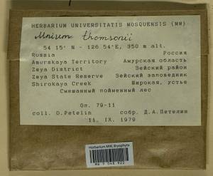 Mnium thomsonii Schimp., Bryophytes, Bryophytes - Russian Far East (excl. Chukotka & Kamchatka) (B20) (Russia)