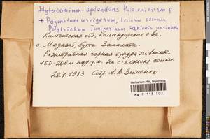 Hylocomiastrum pyrenaicum (Spruce) M. Fleisch. ex Broth., Bryophytes, Bryophytes - Chukotka & Kamchatka (B21) (Russia)