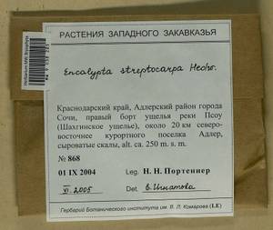 Encalypta streptocarpa Hedw., Bryophytes, Bryophytes - North Caucasus & Ciscaucasia (B12) (Russia)