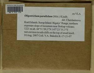 Oligotrichum parallelum (Mitt.) Kindb., Bryophytes, Bryophytes - Russian Far East (excl. Chukotka & Kamchatka) (B20) (Russia)