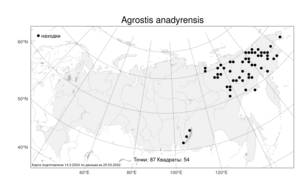 Agrostis anadyrensis Soczava, Atlas of the Russian Flora (FLORUS) (Russia)