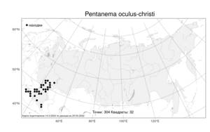 Pentanema oculus-christi (L.) D. Gut. Larr., Santos-Vicente, Anderb., E. Rico & M. M. Mart. Ort., Atlas of the Russian Flora (FLORUS) (Russia)